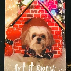 Meet your Posher, Joanne